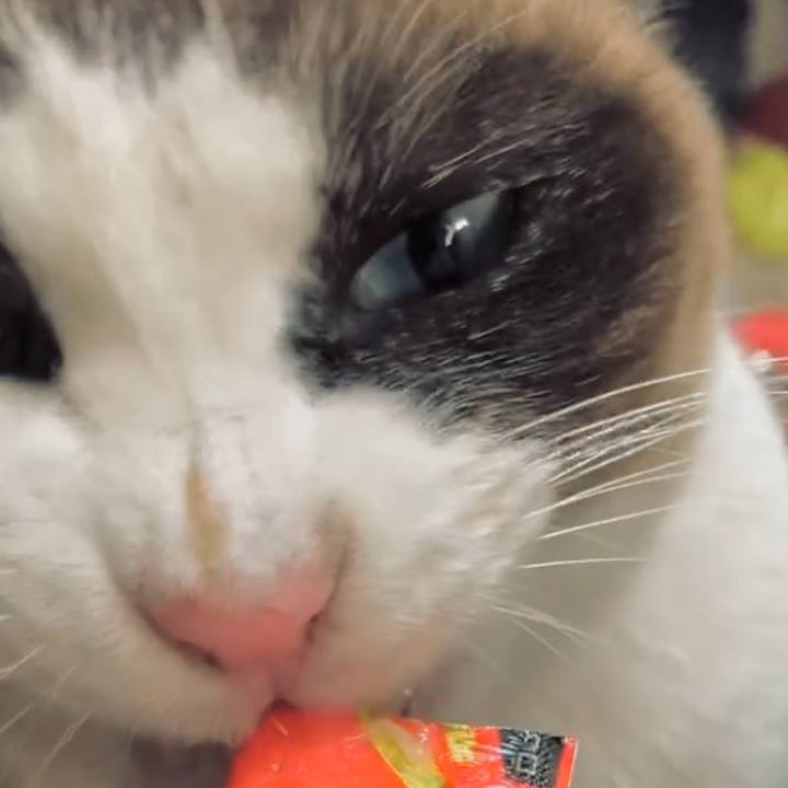 6d9d2df5 45b5 49c1 b312 c64a1282a731 1735095682369