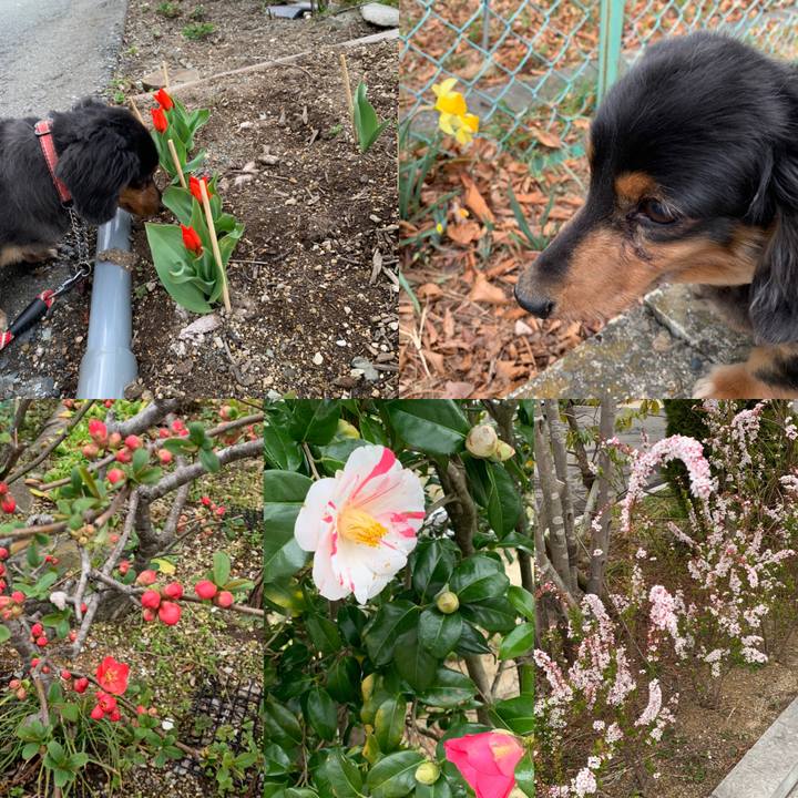 6d9d4b2a b0d8 4ebe 855f 2afb928a93a9 1586295842878