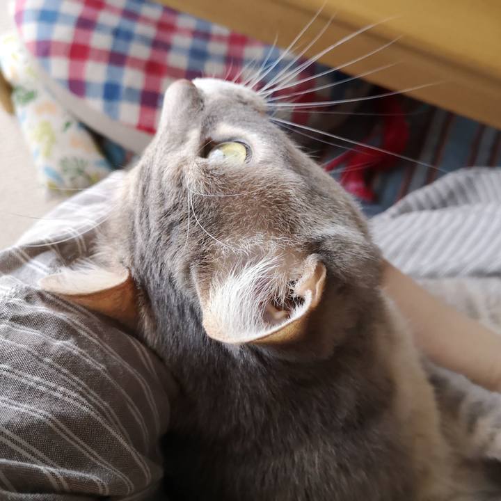 6d9de228 a8ea 4b5d 9c6f 41432a4939cc 1588391555336