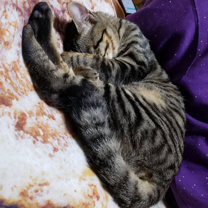 6d9dfdea 47a2 4975 9245 af40d848fc91 1542976066697