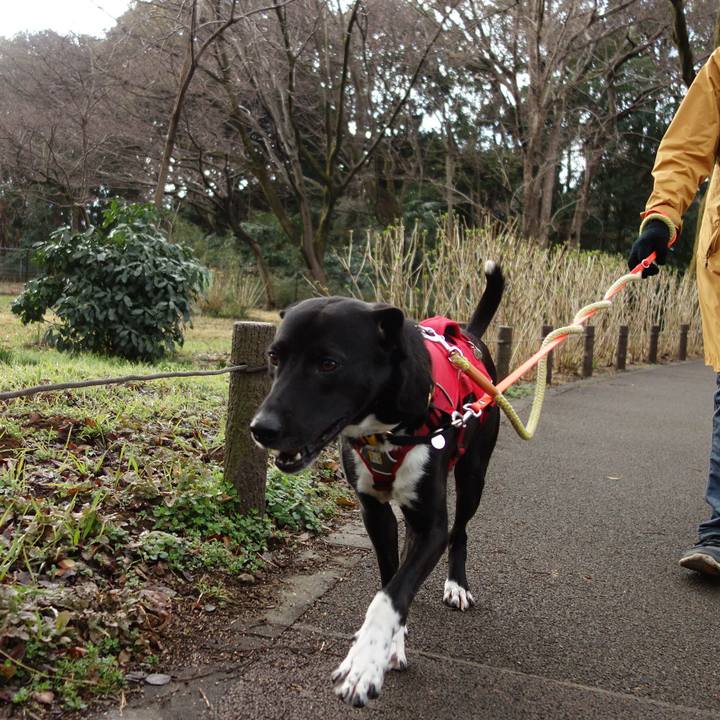 6d9e32da 3bfc 4cdf a719 3e162db56e9a 1583371620914