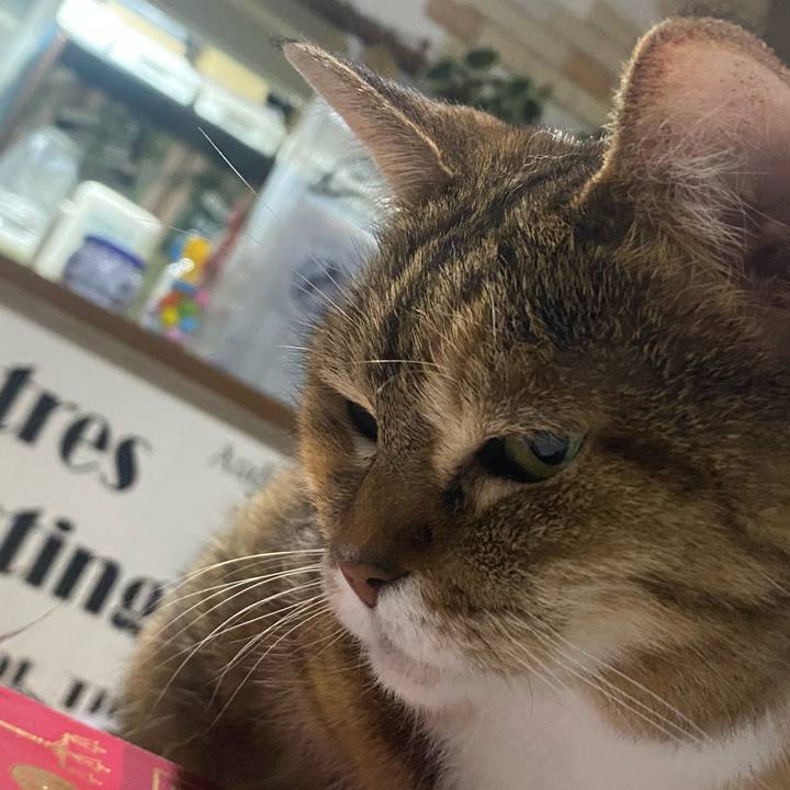 6d9e6522 cd64 4bbd 988b a0de7f924abe 1752419260775