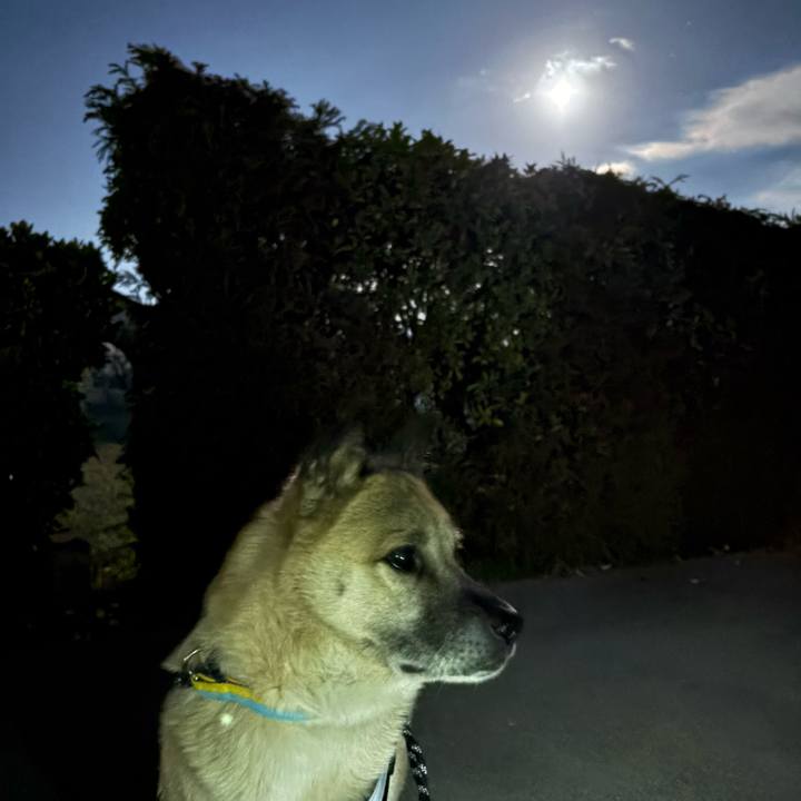 6d9e6861 f558 427c 9b8a 25bcdbd497e6 1734354584975