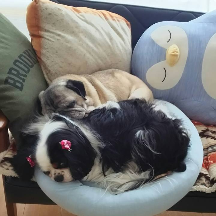 6d9eaa40 69bf 4c35 92c1 f5f437689342 1533197628175