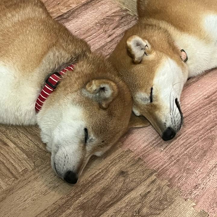 6d9eb0ce 2217 46f0 a49f 572c885eb977 1762162316025