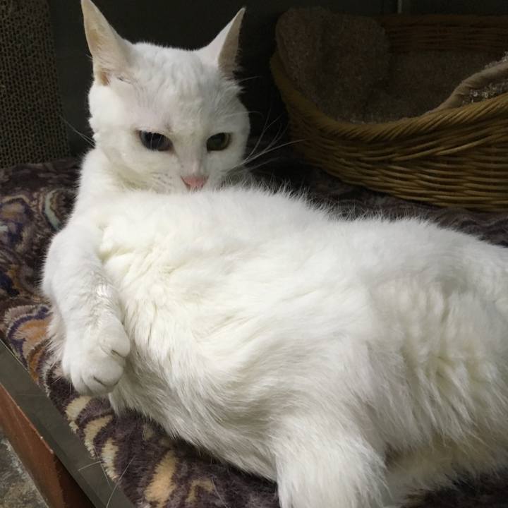 6d9eba64 022b 429c a37a ad15802c5433 1529567516673