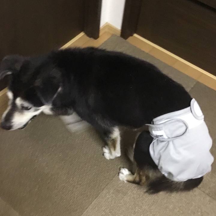 6d9eca4e 79f5 4dd2 9f5d b686da7d1d20 1756852068446