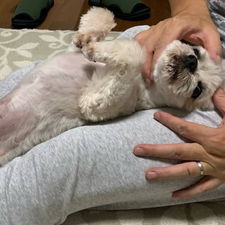 6d9ef51a 3f86 4250 9ee0 f07c0bfe0b43 1730021603435