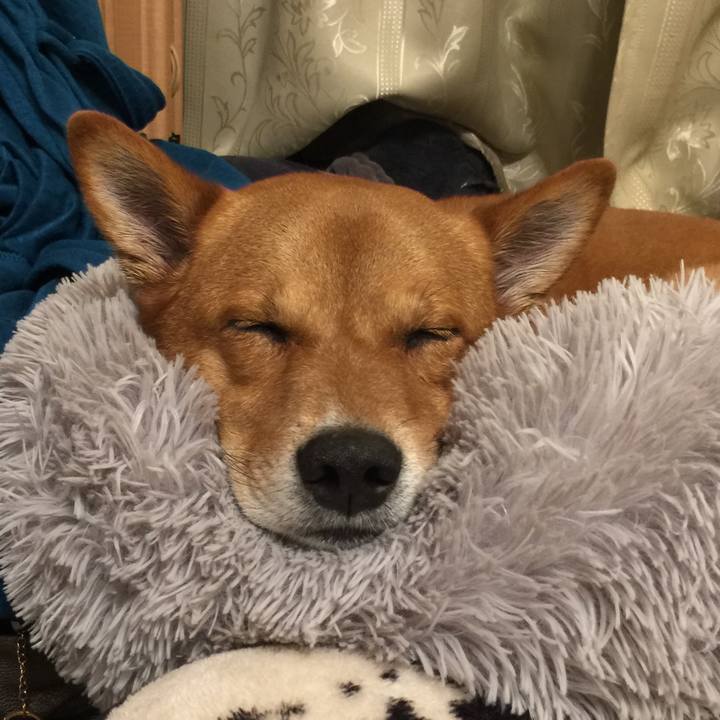 6d9f091d e9ea 43f5 bba0 6470d9872664 1632066938897