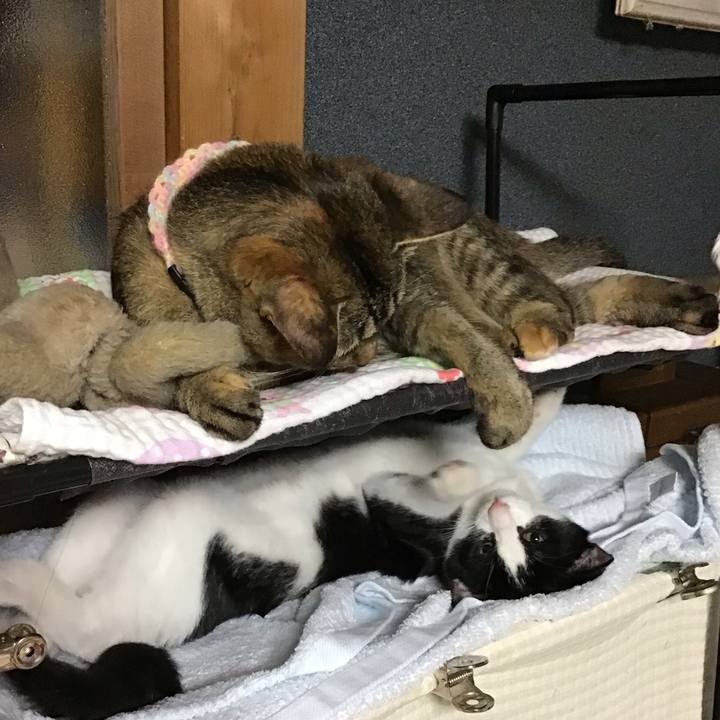 6d9f0ea7 7eed 4949 8346 8a7e850307a8 1628590599976