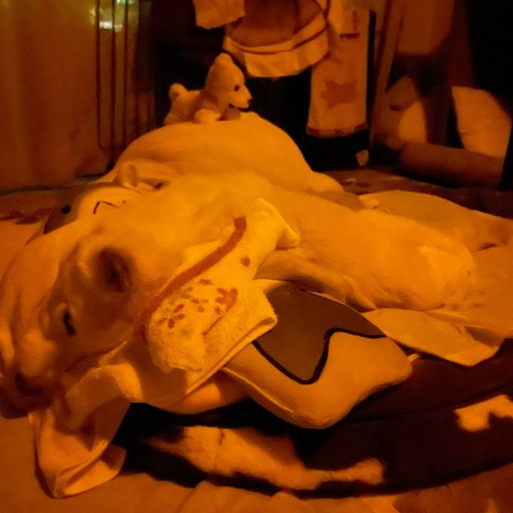 6d9f21c3 a352 4c4a aa55 cab387655921 1685721110016