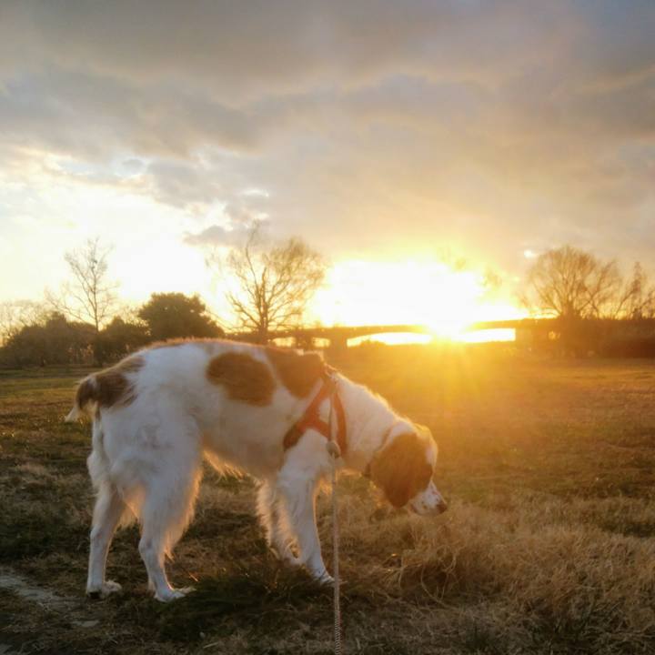 6d9f2d6f 6e60 42f5 b427 034ba2744009 1549020168643