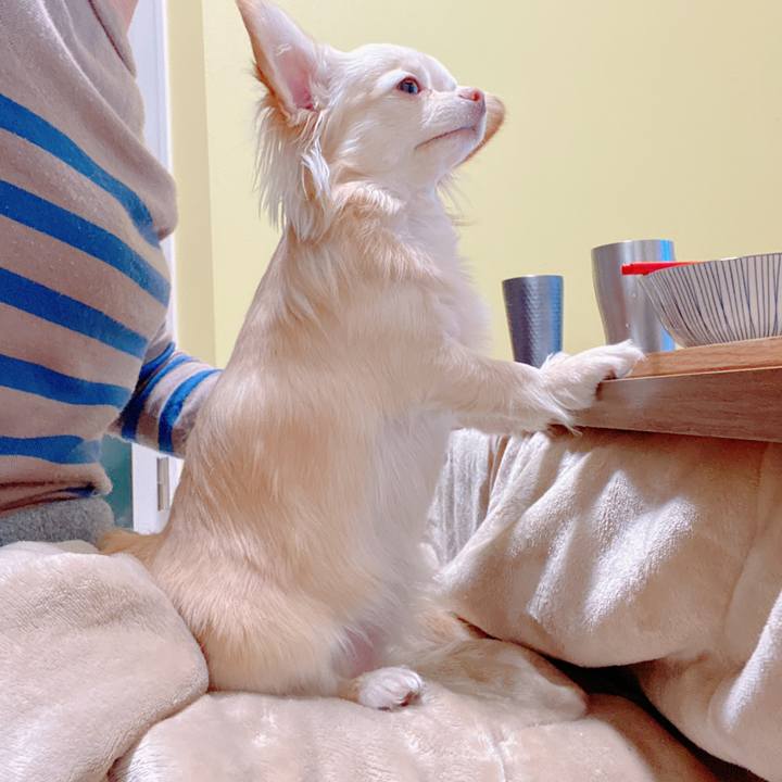 6d9f7d11 fb3b 4001 80c9 c3e45376d364 1645664315728