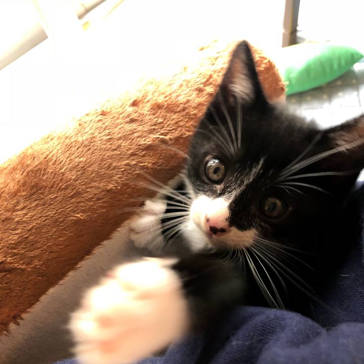 6d9faf8b 398c 4174 884a eb5873d41775 1538057322721