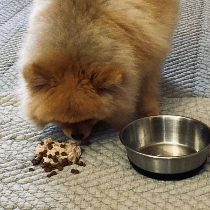 6d9fe098 fe59 4465 9ce7 0f48d497e2c7 1773183445960