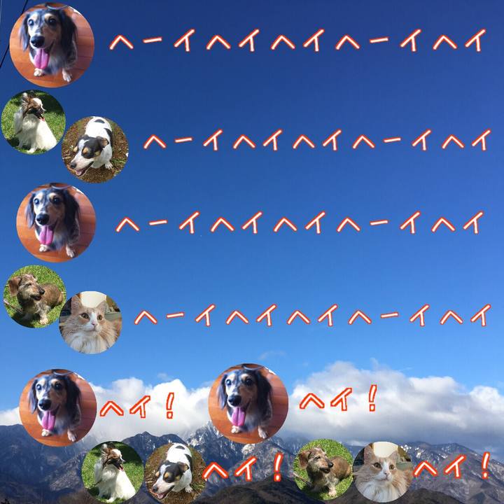 6d9fef43 daa7 4a7d aea4 904bc70f9787 1597322970983
