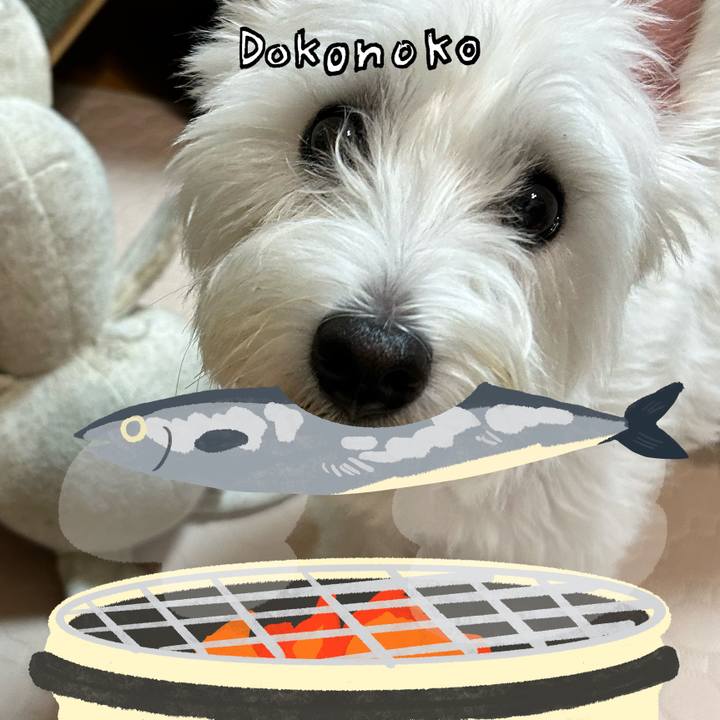 6da00178 14f9 4b32 97c9 fa0f47a3323a 1763353807883