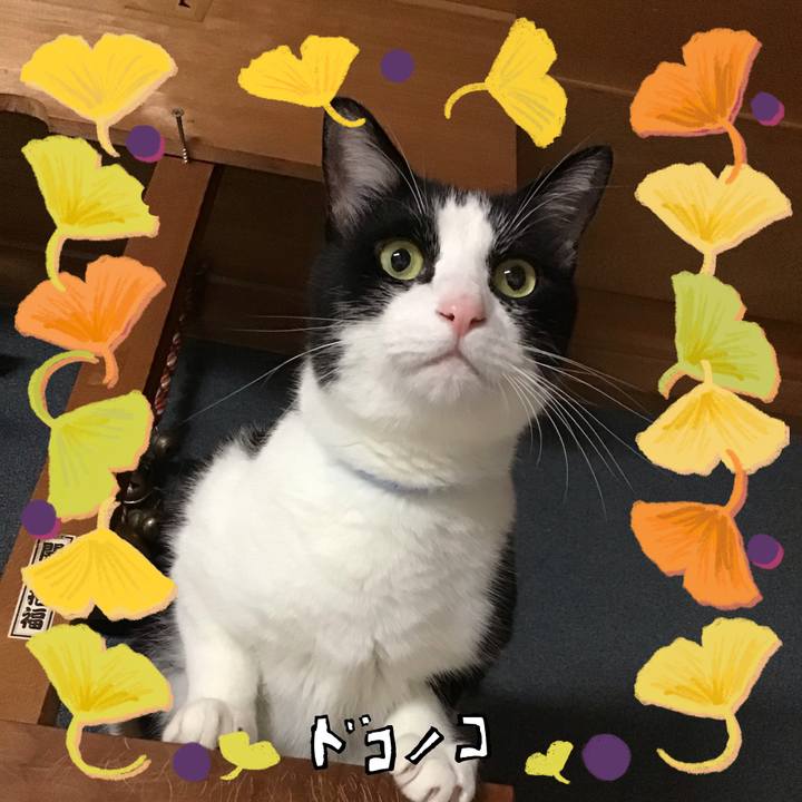 6da04e13 ec10 4006 b327 b512ac1bd13d 1729158255663