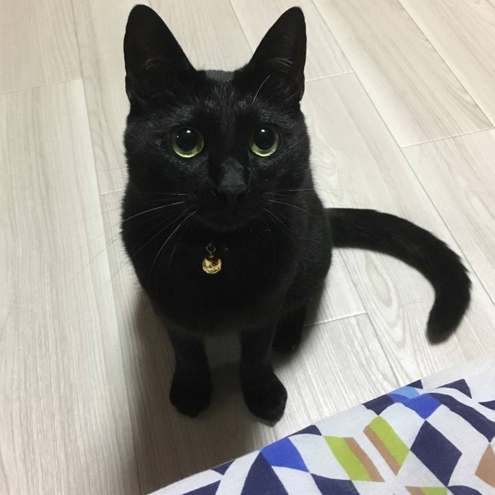 6da05e1a b3a8 47f3 b7a3 16aae527722c 1507823836791