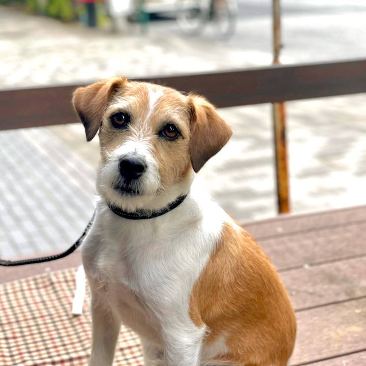 6da0644e 5d06 473d bd5c b2829d4fe706 1619269994664