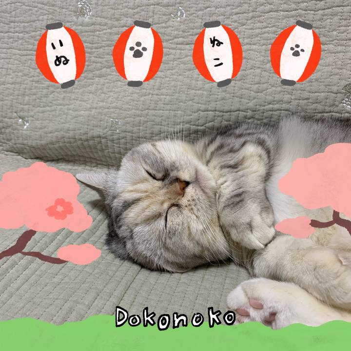 6da08f7d 3f07 42ac 8c08 6c07b0c77bec 1712240161450