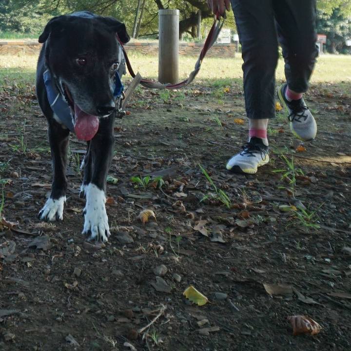 6da0bf44 47de 43d2 a053 e745851b4b82 1755474763849