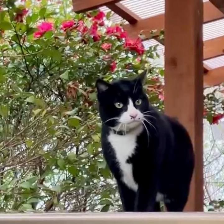 6da0cb11 85b6 4cd1 b735 3ac15cd77d79 1738548643083