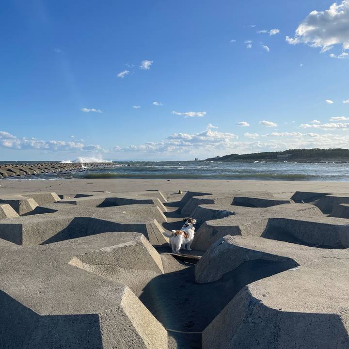 6da1206f 3191 45e2 80e1 644d0bbcc6b1 1696294324364