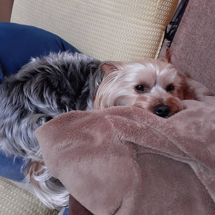 6da13a2e 698d 4466 ba80 f4e924fa52cf 1589940256455