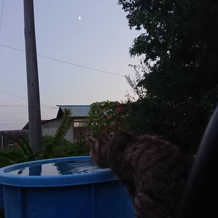 6da13b2e ecc2 4113 aa85 17e2f791a80a 1598348262269