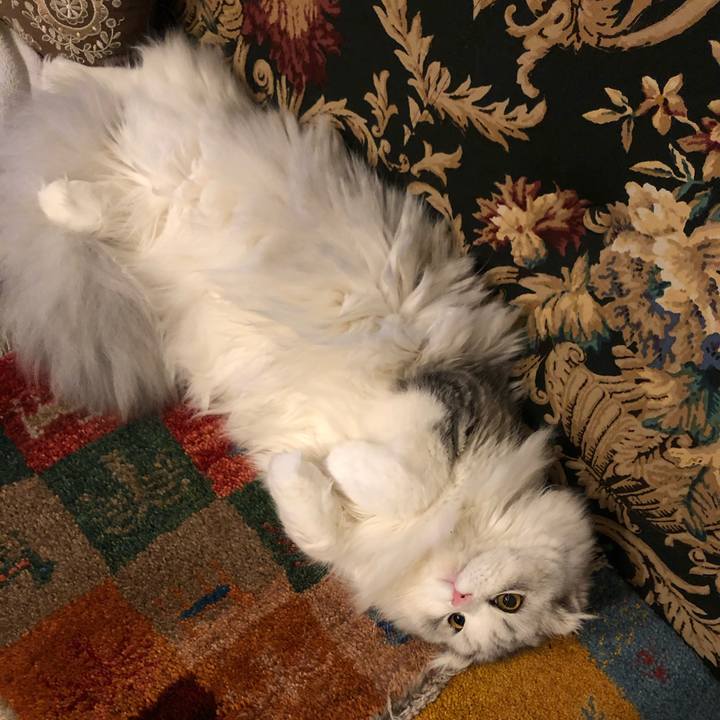 6da15e1a 332a 4503 af90 dd56bd38a136 1611575932978