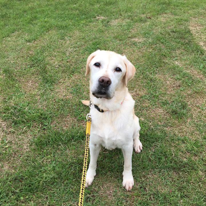 6da16c94 83f7 4f00 9e67 67834d170816 1537955472983