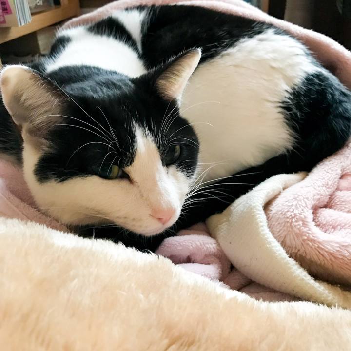 6da178ae 9cf8 40e5 b484 d33b2db817d0 1517879033751