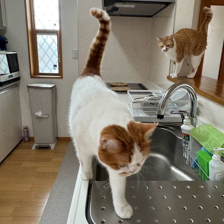 6da1d161 0a5c 4279 b612 e8b9d14b6826 1773887412776