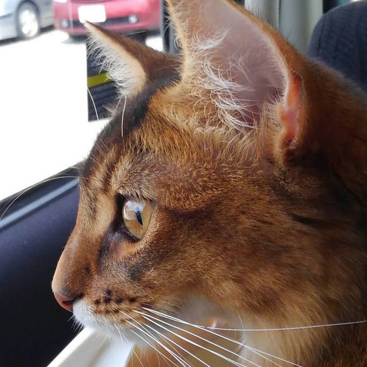 6da1e49e 5c19 4eb8 9e53 5de963604ae1 1573307995566