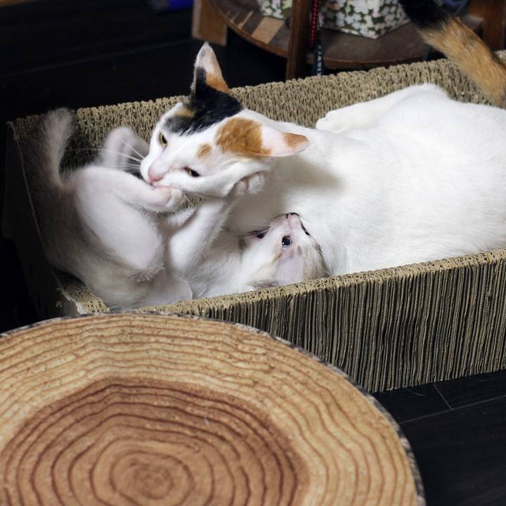 6da1eed9 1ce8 4ac8 841e 28e44e64621b 1599000989056