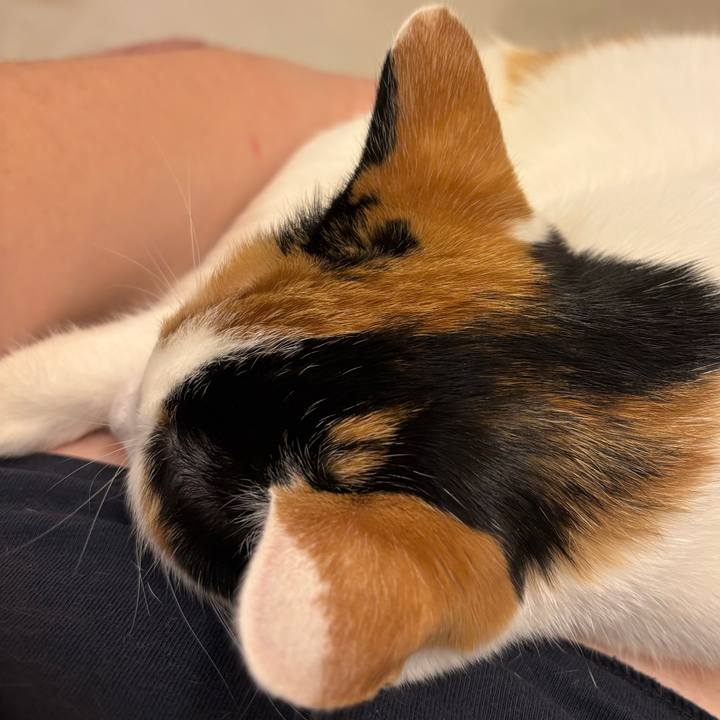 6da219c6 9e43 4cf9 a73d 314914c33c74 1769864334159