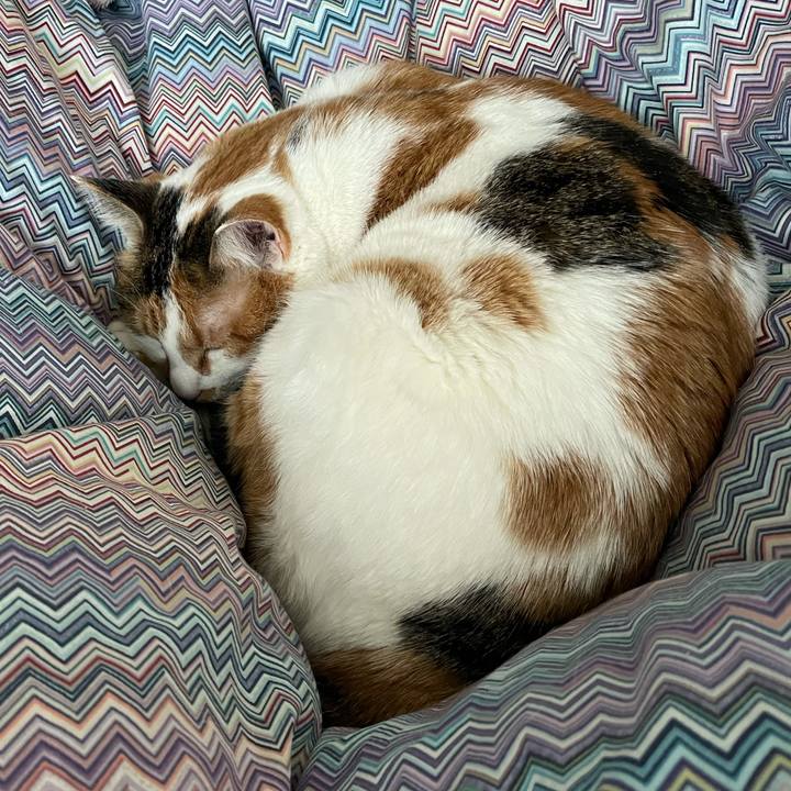 6da2234e 446c 468d 831f ec6b9a4b017b 1610247423108