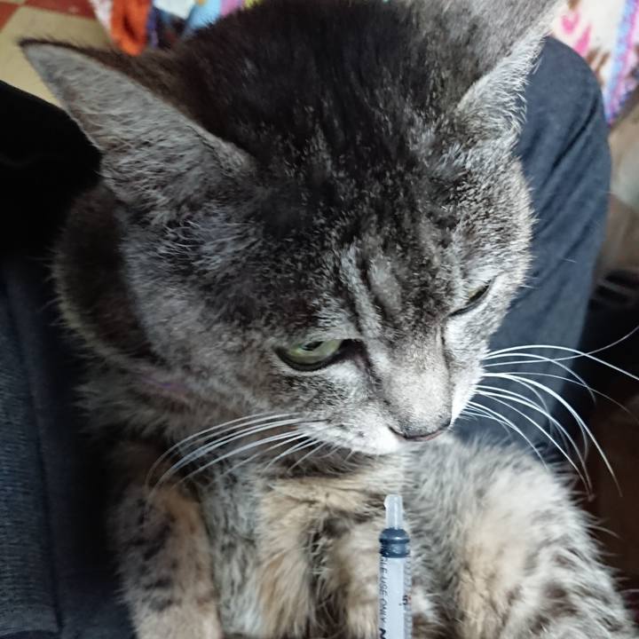 6da2341f 7c39 42ba 955d 829a2c3d1f0d 1585086557572