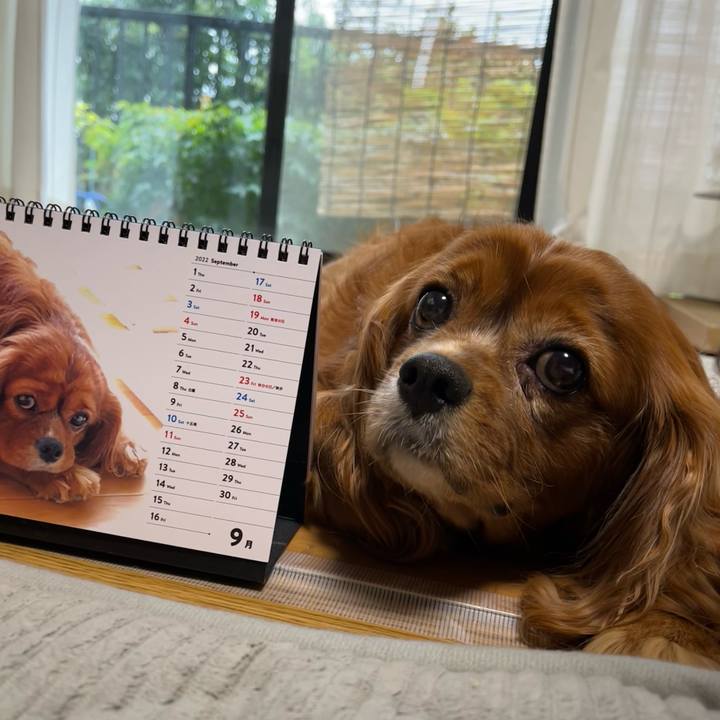 6da23838 c8c3 48ab b0cb e44cfabfe6c2 1661982637021