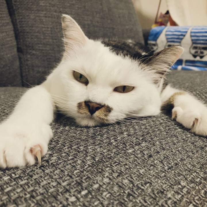 6da23de1 772a 404c 8917 f37d68d472f9 1534223540773