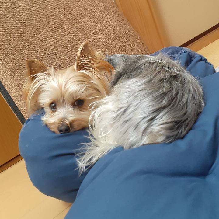 6da253a7 68d3 44c4 9d64 3680b4a9b692 1612669011518