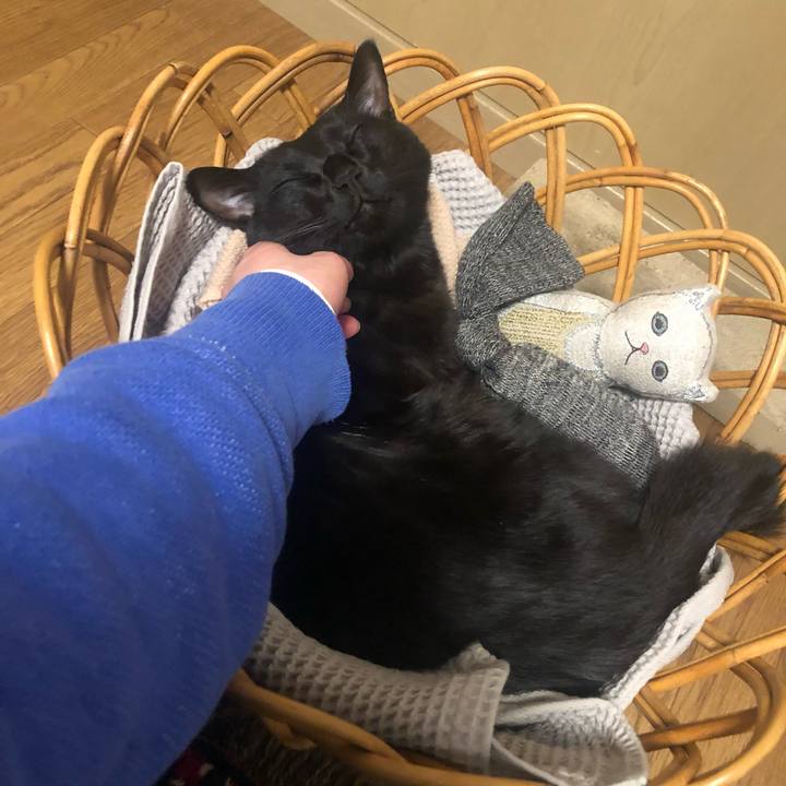 6da265d3 a7d5 40c3 96e2 26294440701d 1612104979187