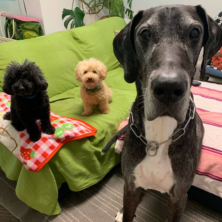 6da26d26 6737 44ce b010 bc3ec43b8460 1597616721701