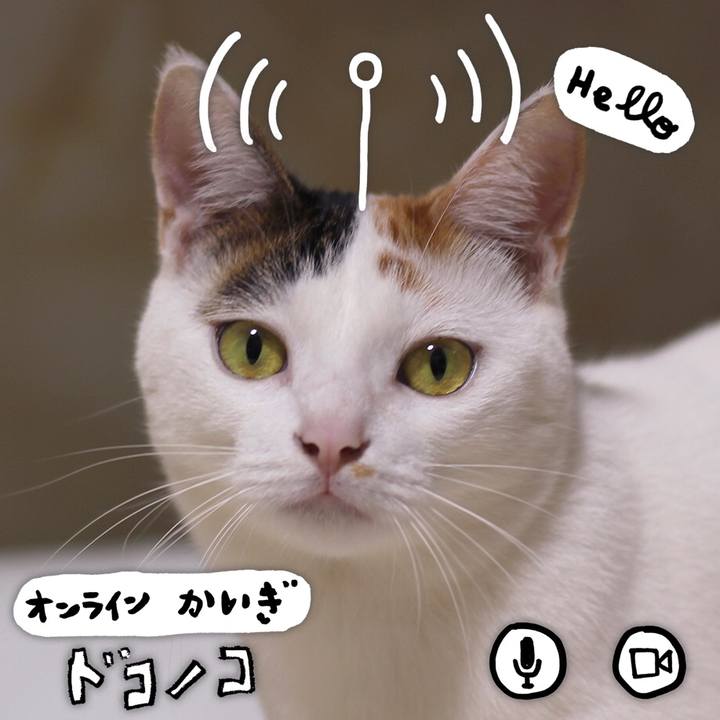 6da28ab4 0bdb 4b97 a51f 19b22d3dd9d9 1590840408331