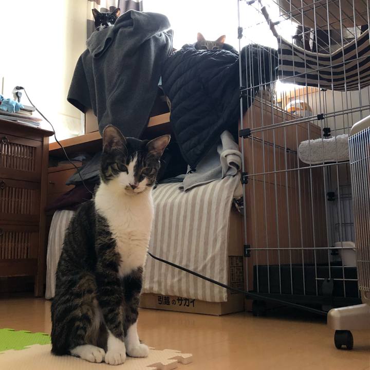 6da2946b 888a 473f 83fb 6da566d87bd9 1548119925461