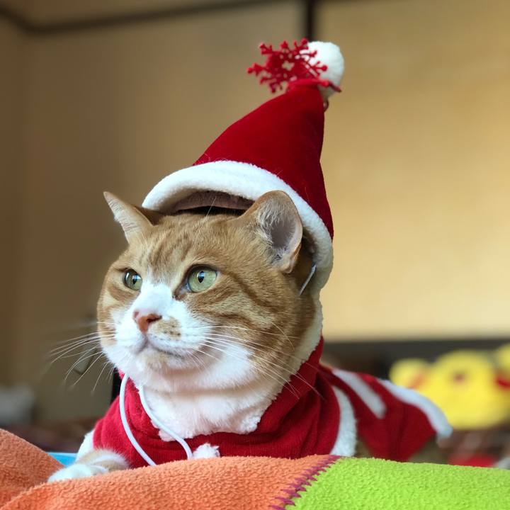 6da2e5dc 5cc6 47d0 bdc6 64afe6c7c79e 1545653357659