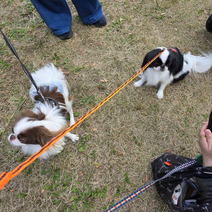 6da2e7b0 62ef 4206 8d00 55fe30223bae 1763284315838