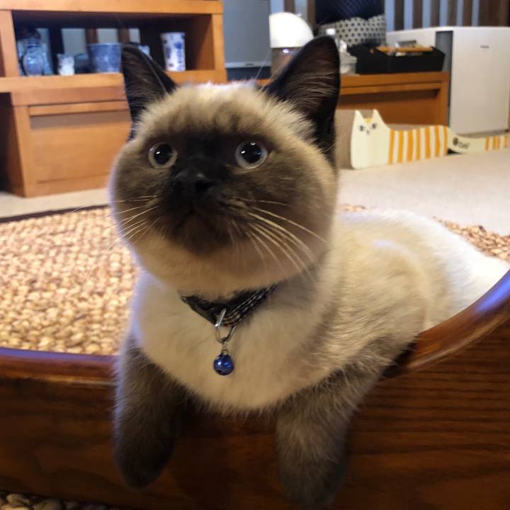 6da2f1a8 9bc1 4837 bf62 a93dd0abf61f 1592089720234