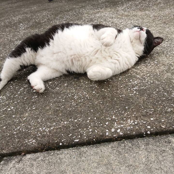 6da33ec6 09c2 4903 9051 6076d7662ec2 1625870434181